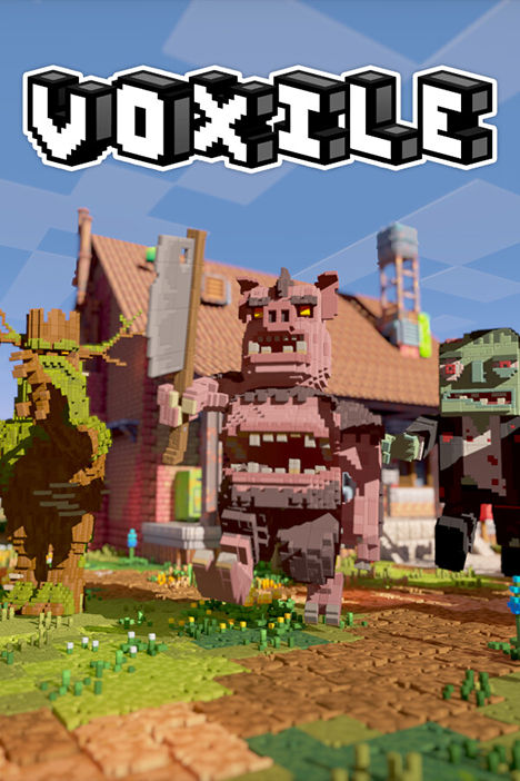 Обложка игры Voxile