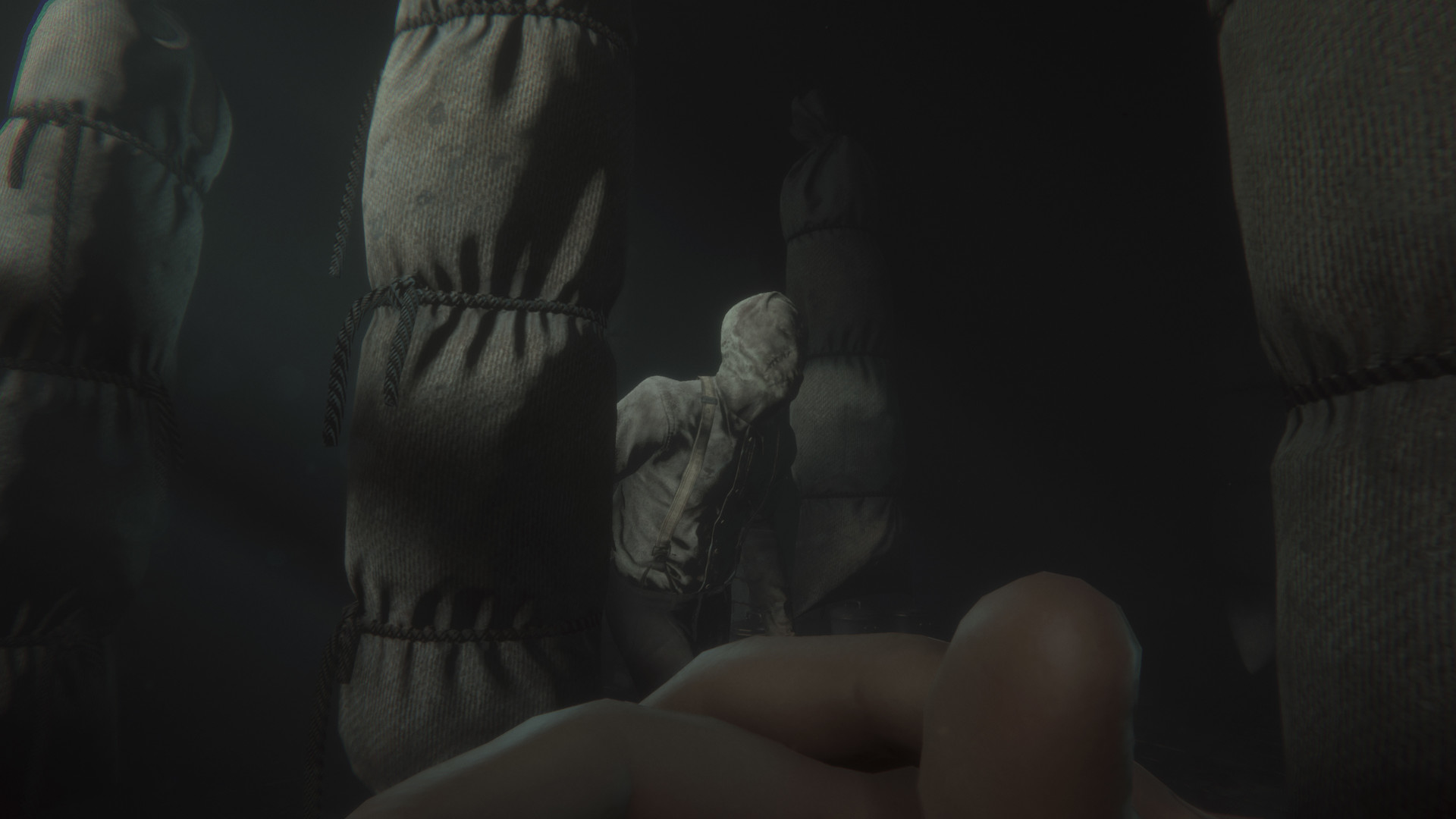 Скриншот из игры Maid of Sker - 30