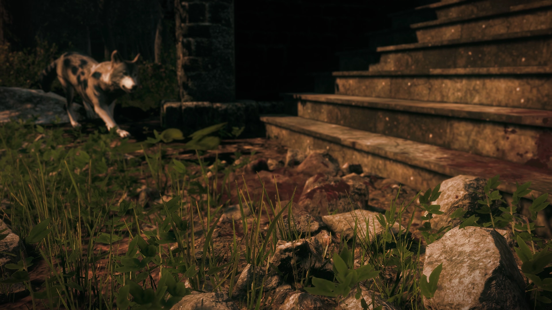 Скриншот из игры Maid of Sker - 46