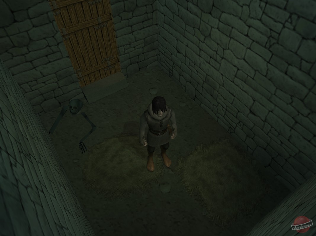 Скриншот из игры Inquisition - 11