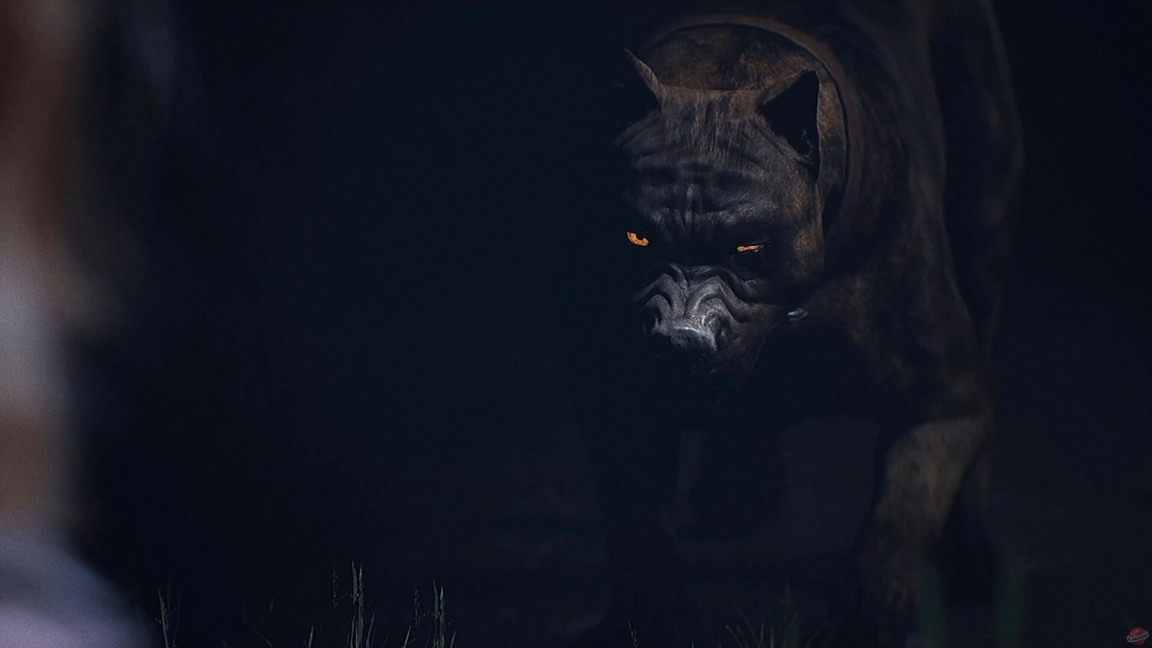 Скриншот из игры BrokenLore: Dark Dawn - 5