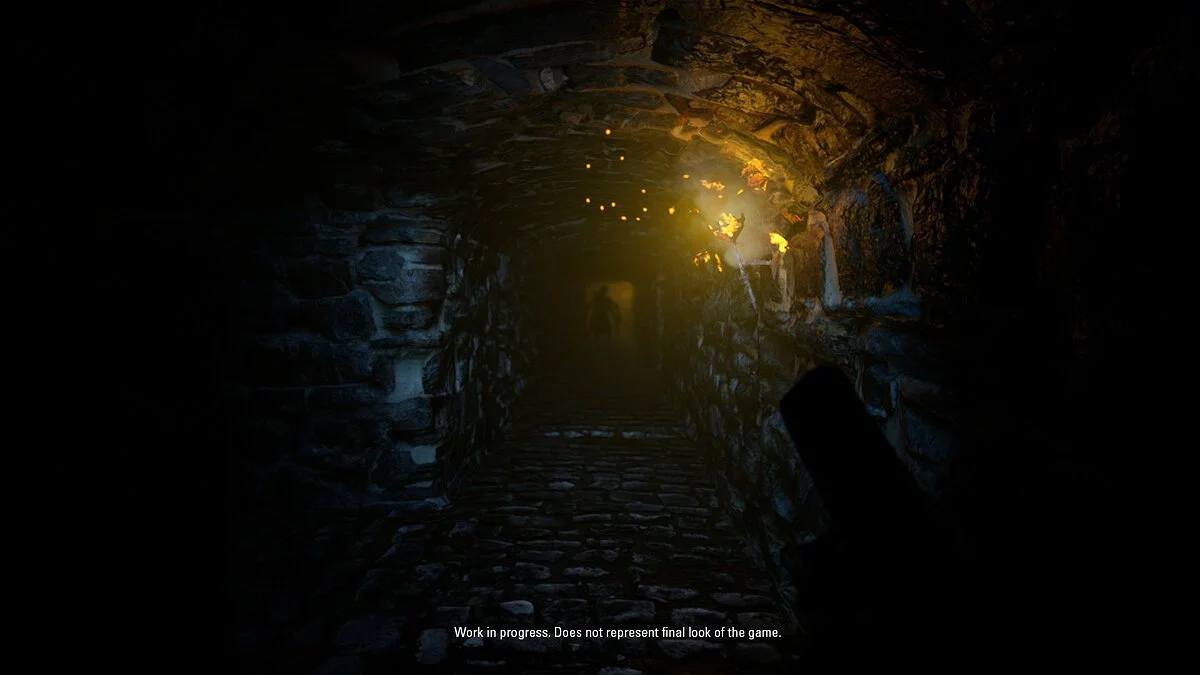 Скриншот из игры THE ORIGIN: Blind Maid - 17