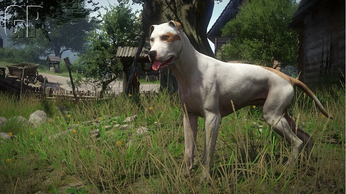 Скриншот из игры Kingdom Come: Deliverance - A Woman's Lot - 12