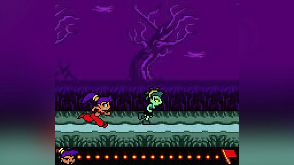 Скриншот из игры Shantae - 14