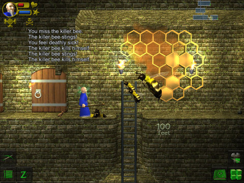 Скриншот из игры WazHack - 15