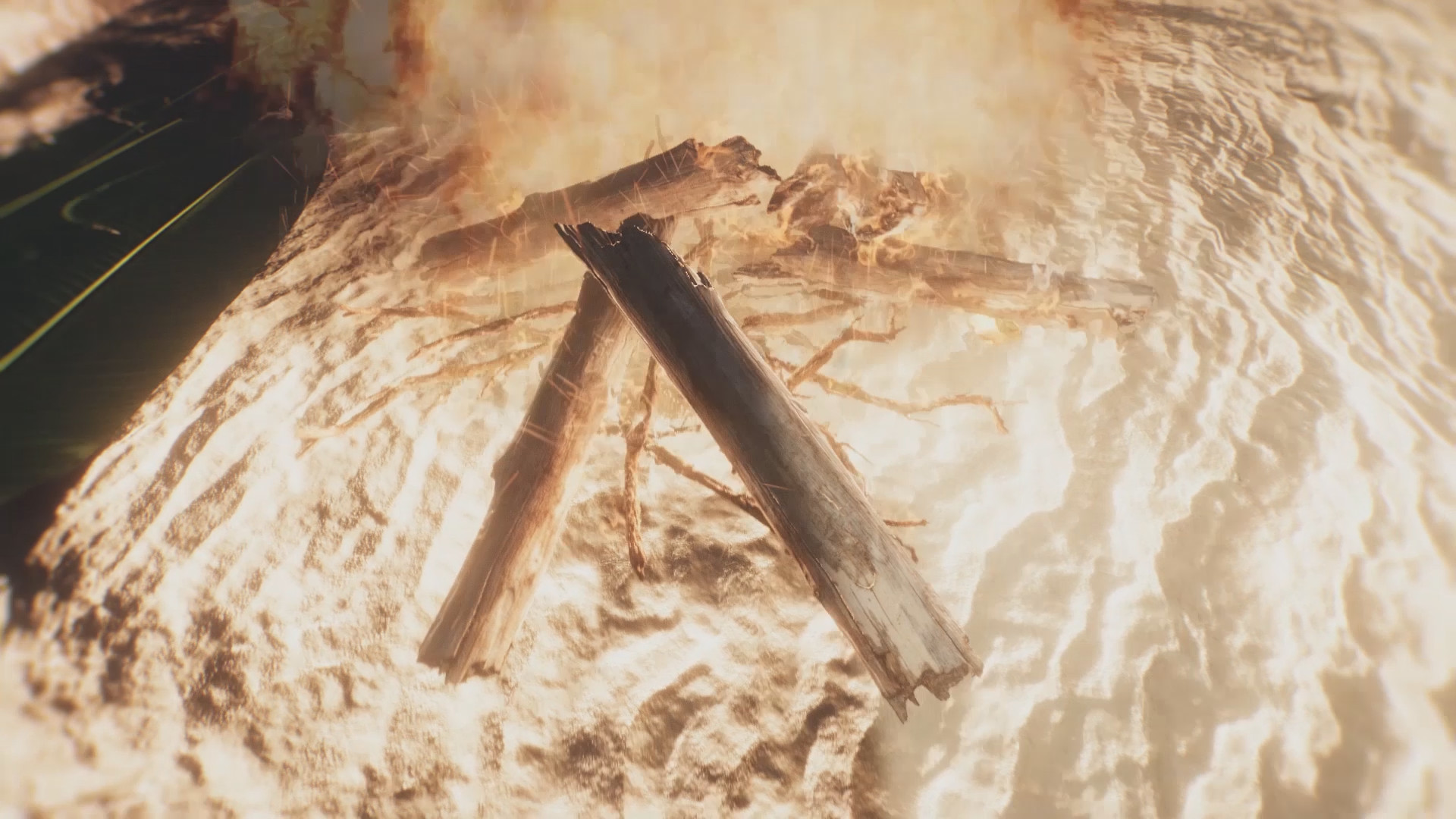 Скриншот из игры Naked and Afraid: The Game - 4