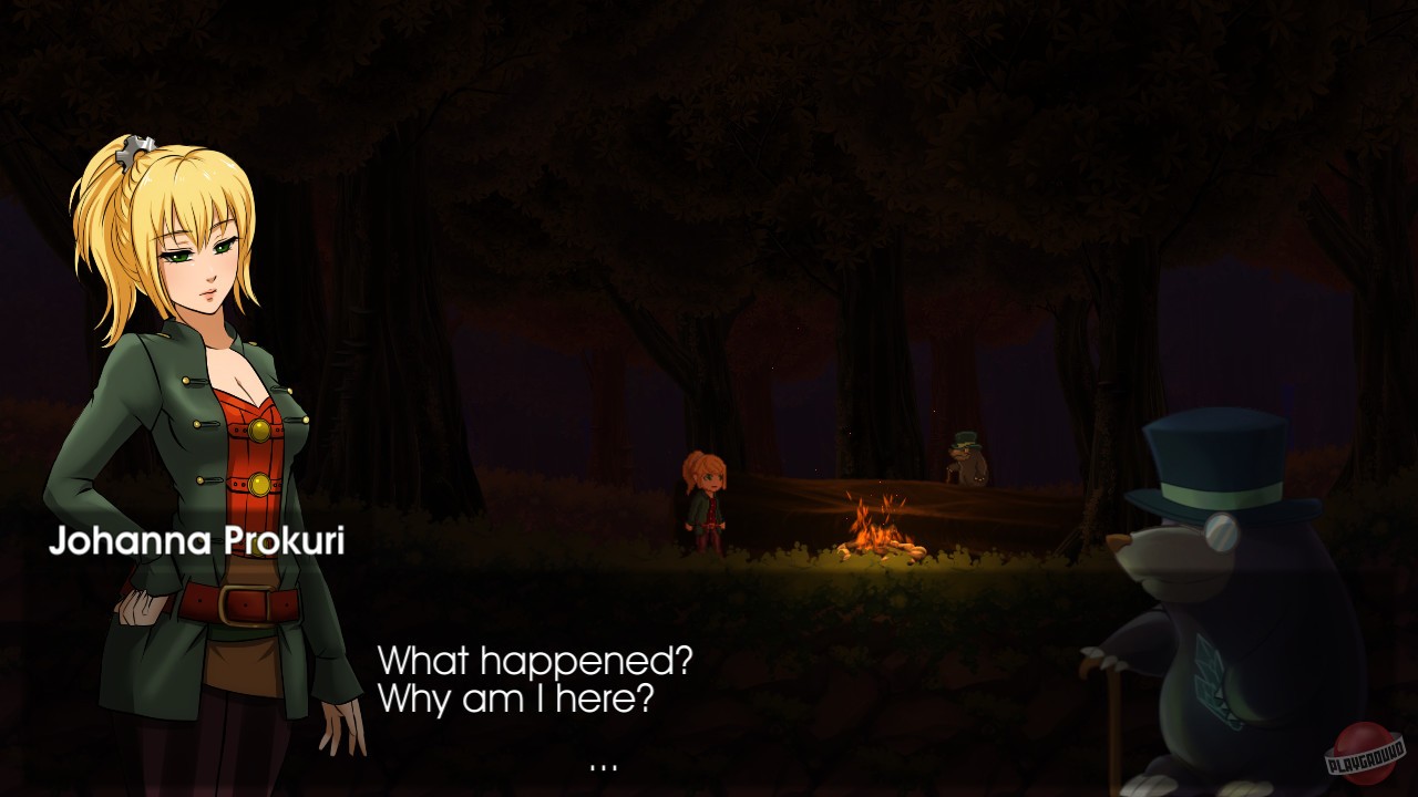 Скриншот из игры The Donnerwald Experiment - 11