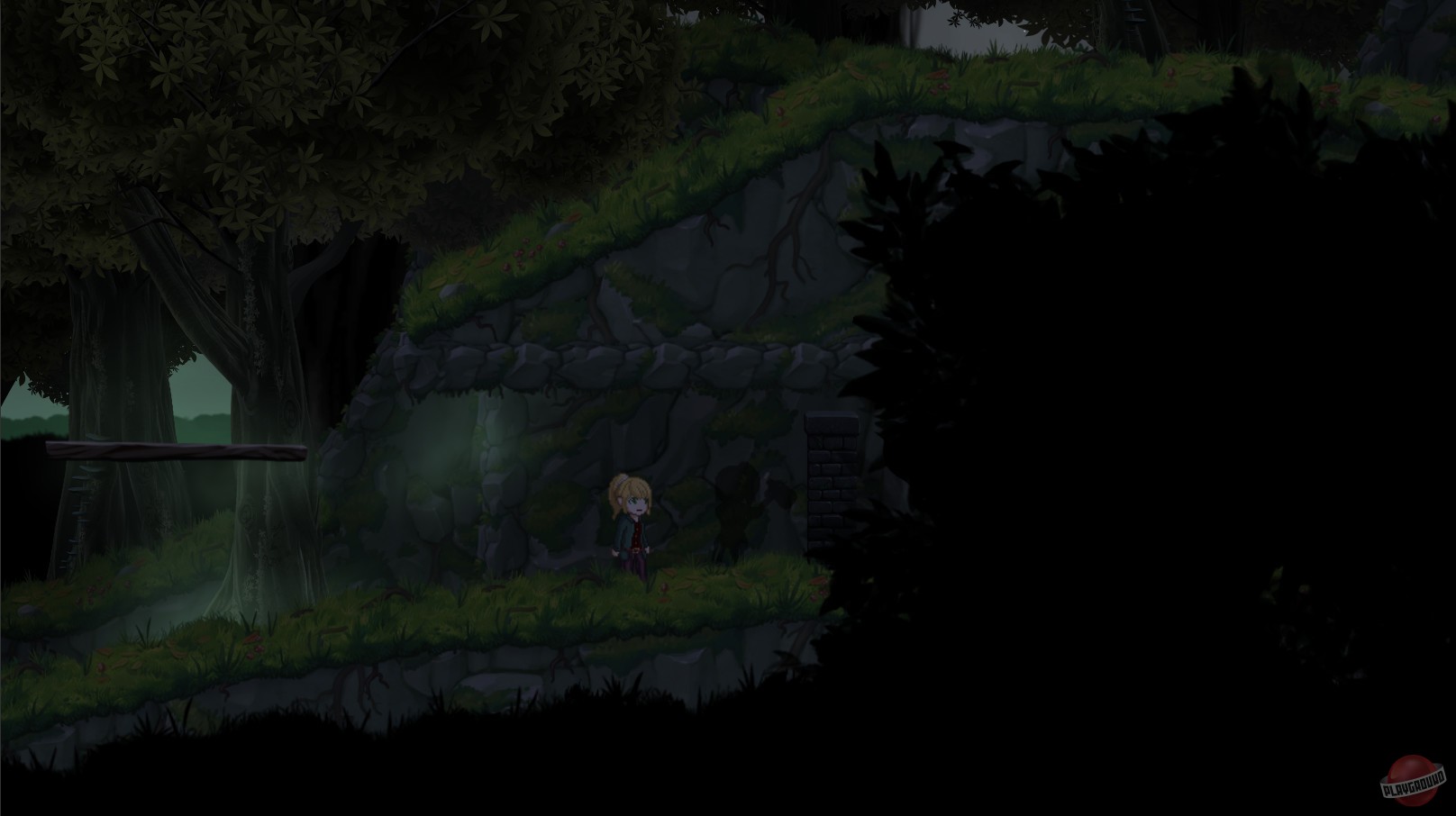 Скриншот из игры The Donnerwald Experiment - 8