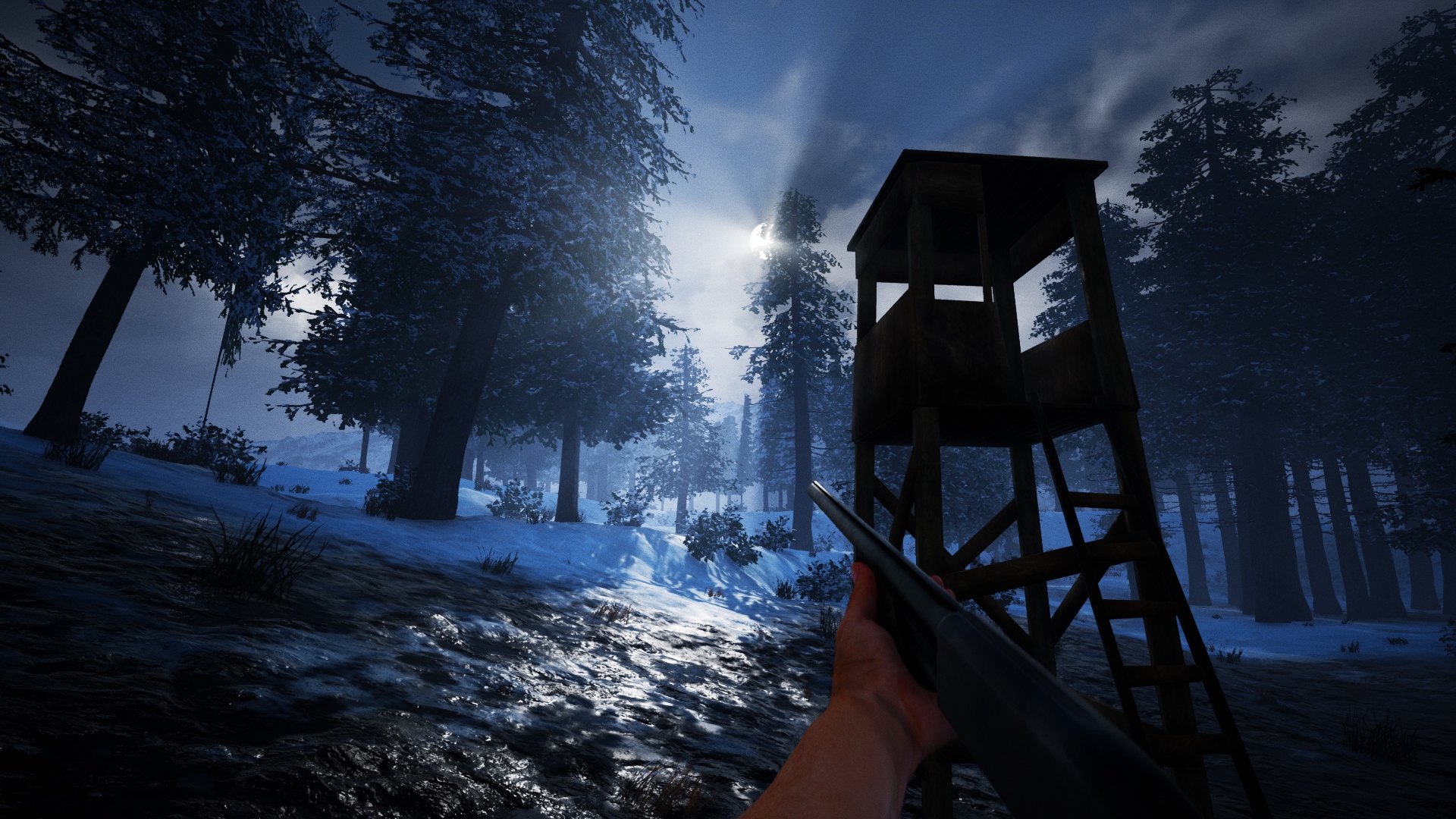 Скриншот из игры Alaskan Truck Simulator - 54