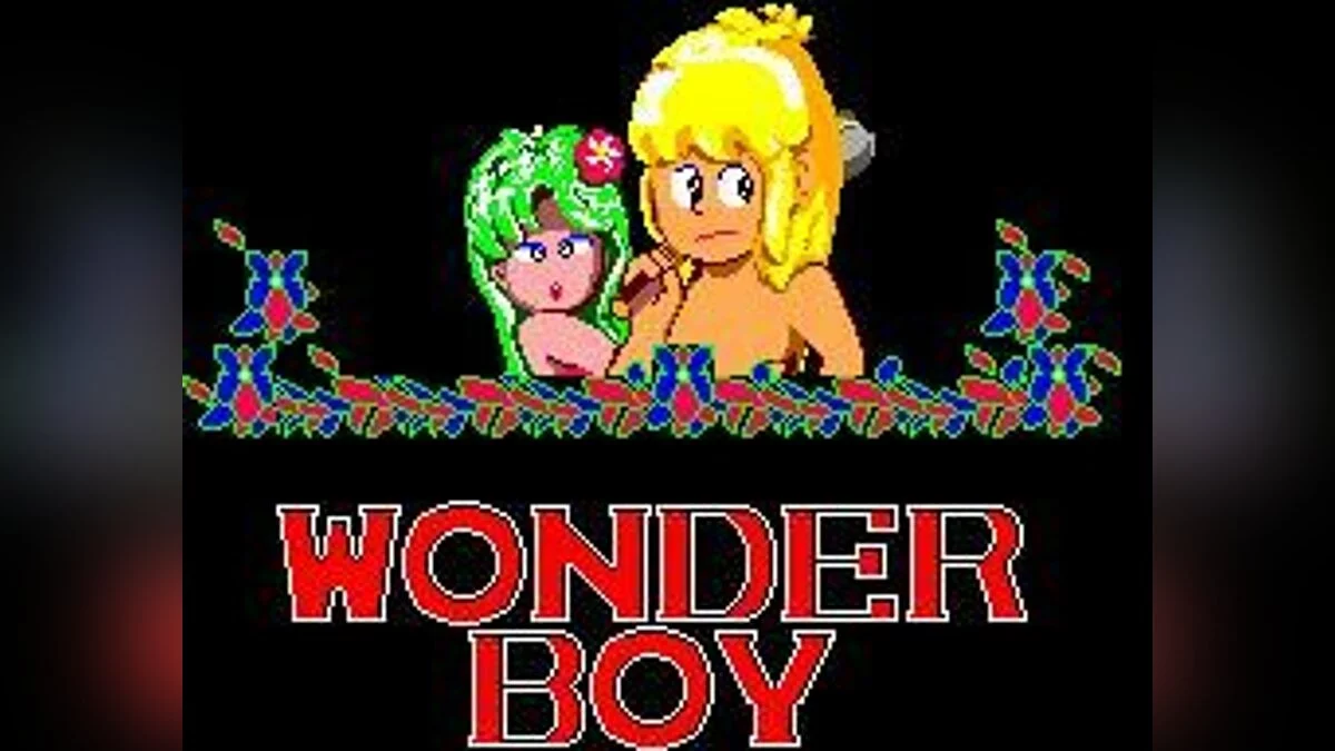 Скриншот из игры Wonder Boy - 2