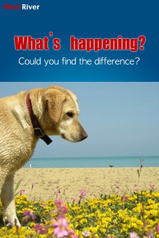 Скриншот из игры What's happening? - 1