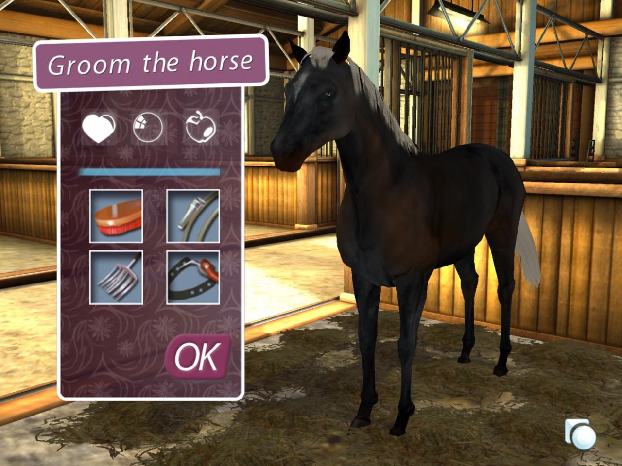 Скриншот из игры My Horse And Me 2 - 13