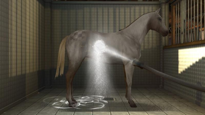 Скриншот из игры My Horse And Me 2 - 22