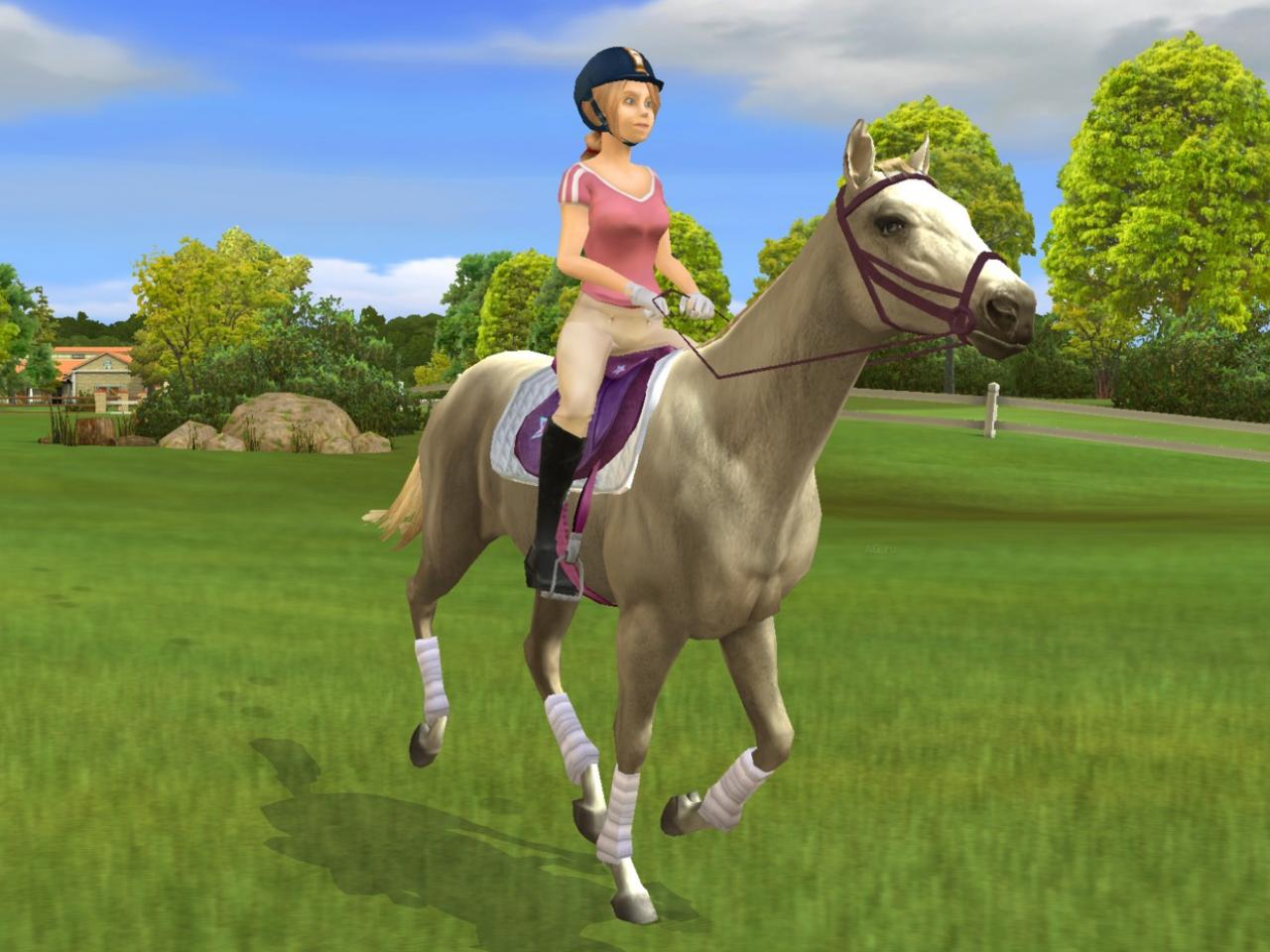 Скриншот из игры My Horse And Me 2 - 12