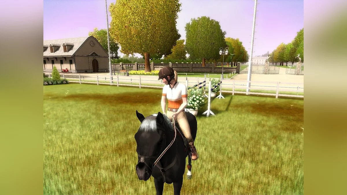Скриншот из игры My Horse and Me - 13