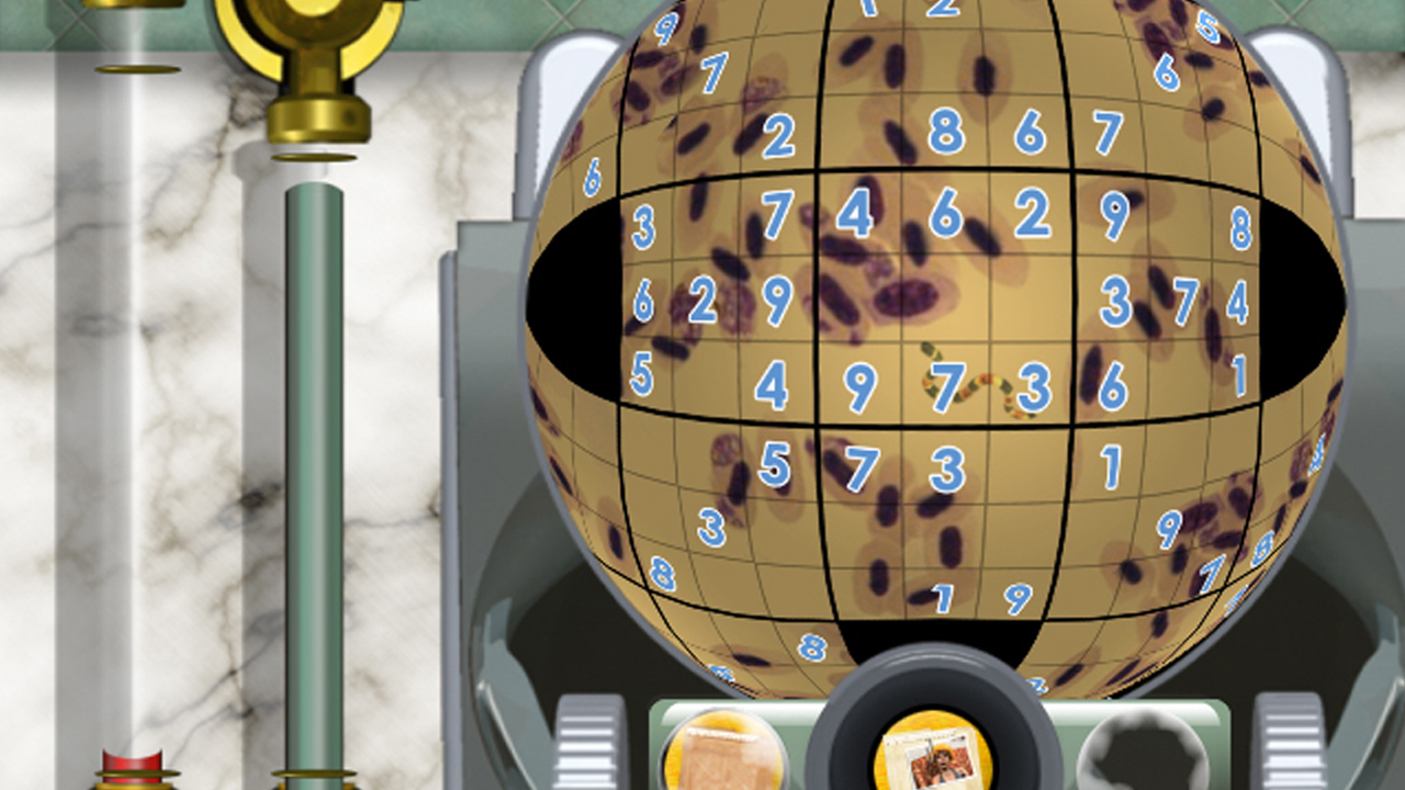 Скриншот из игры Sudoku Ball Detective - 13