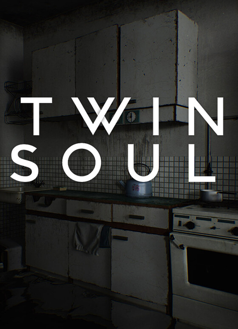 Обложка игры Twin Soul