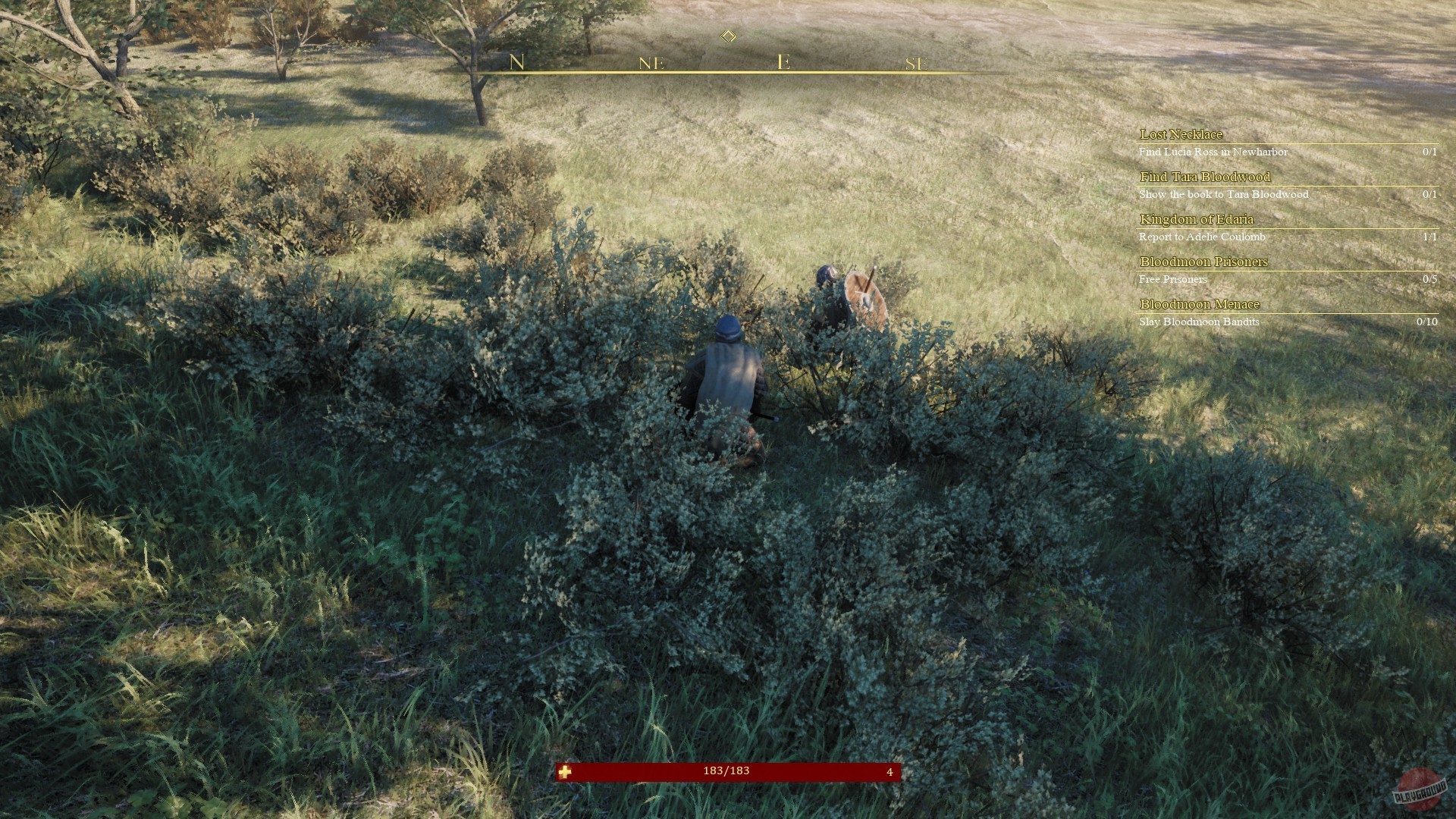 Скриншот из игры Twin Soul - 55