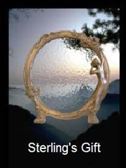 Обложка игры Sterling's Gift