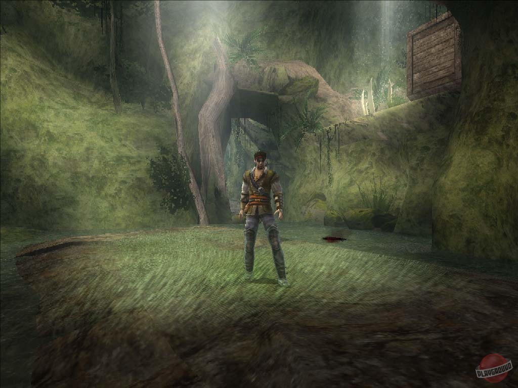 Скриншот из игры Pirates: Legend of the Black Buccaneer - 10