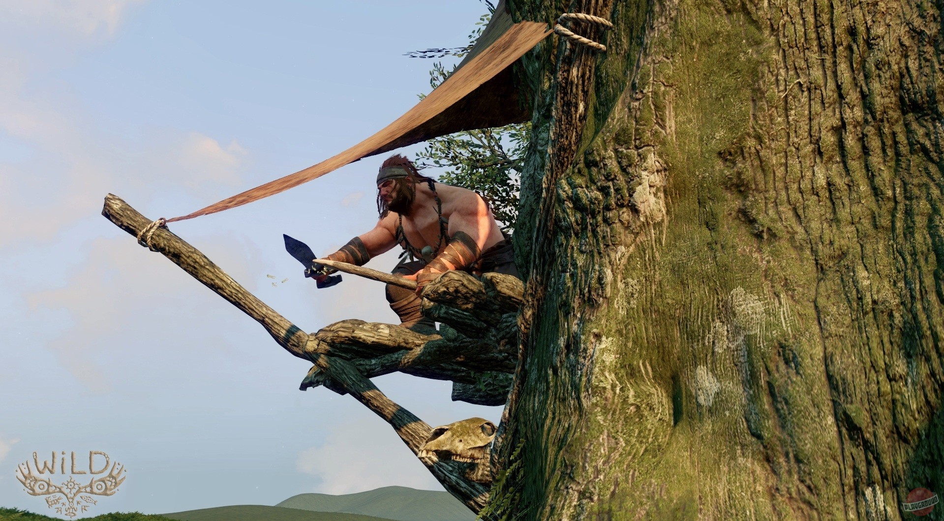 Скриншот из игры WiLD - 20
