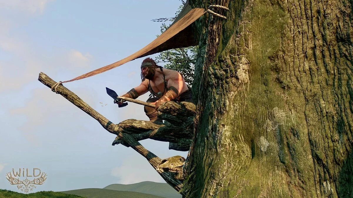 Скриншот из игры WiLD - 25