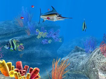 Скриншот из игры Sea Life Safari - 4
