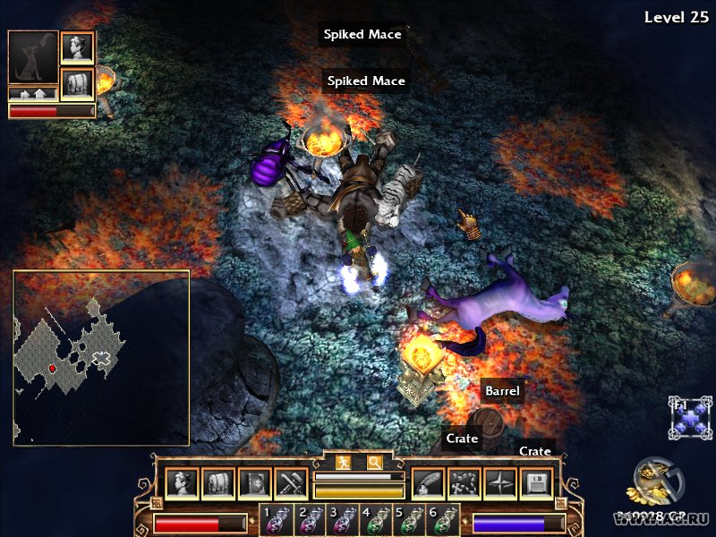 Скриншот из игры Fate (2005) - 19