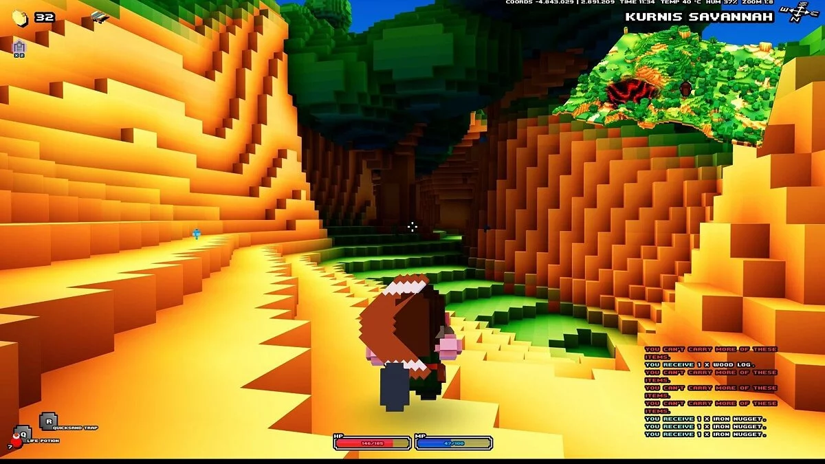 Скриншот из игры Cube World - 25