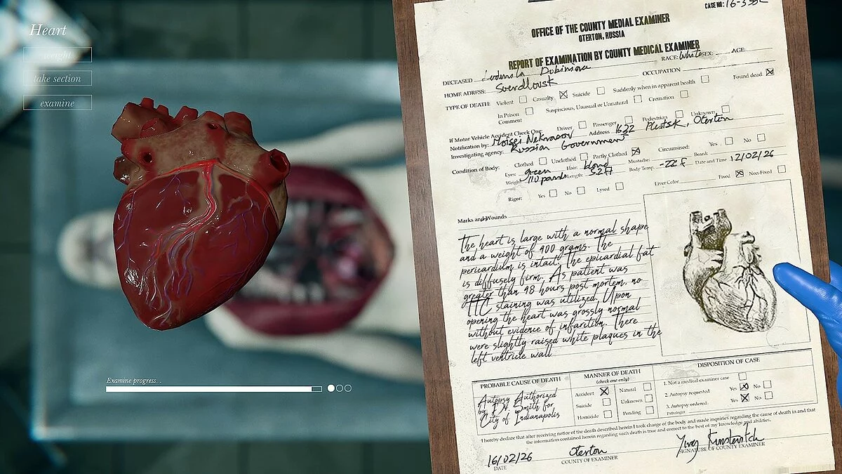Скриншот из игры Autopsy Simulator - 49