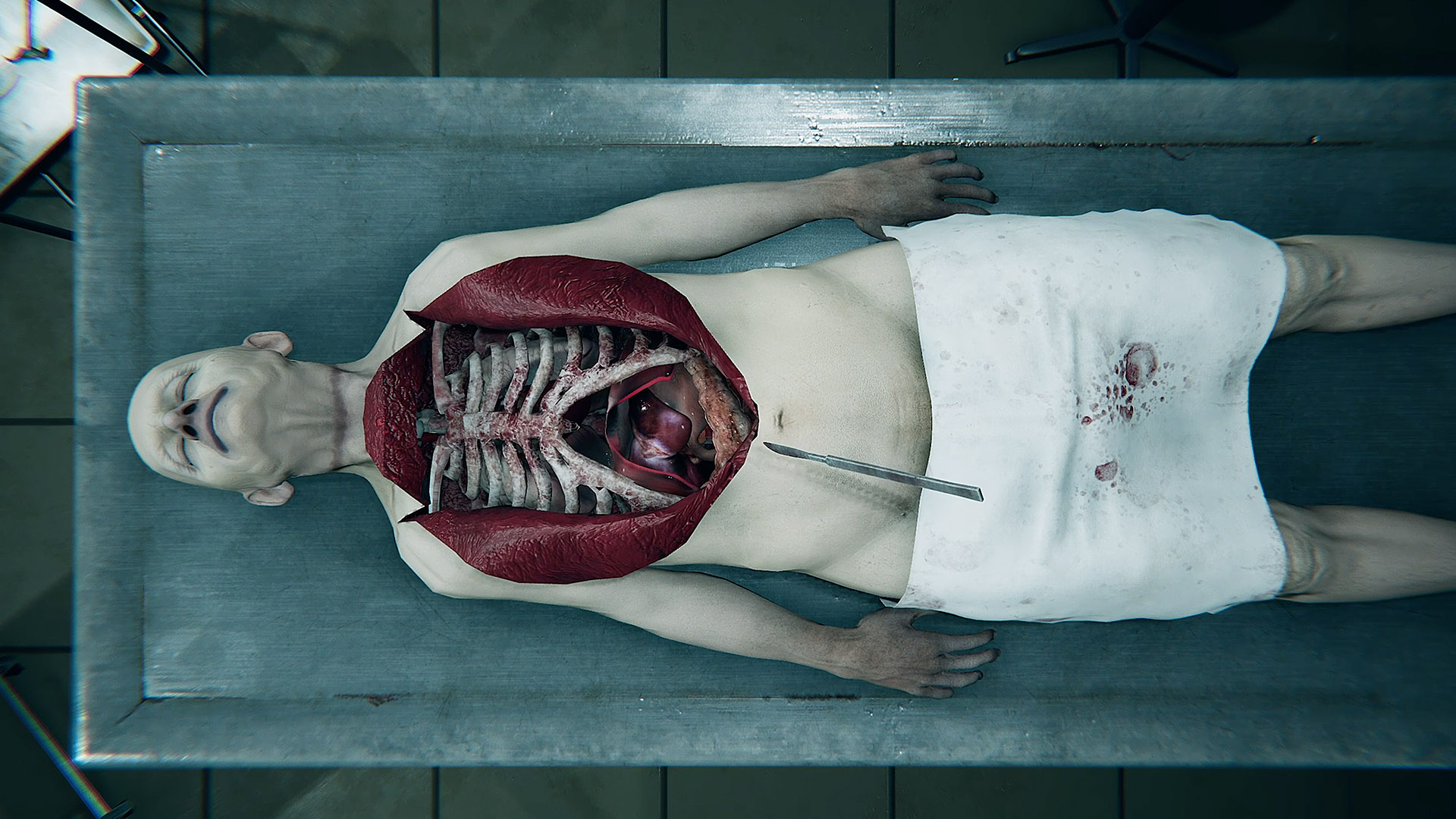 Скриншот из игры Autopsy Simulator - 3