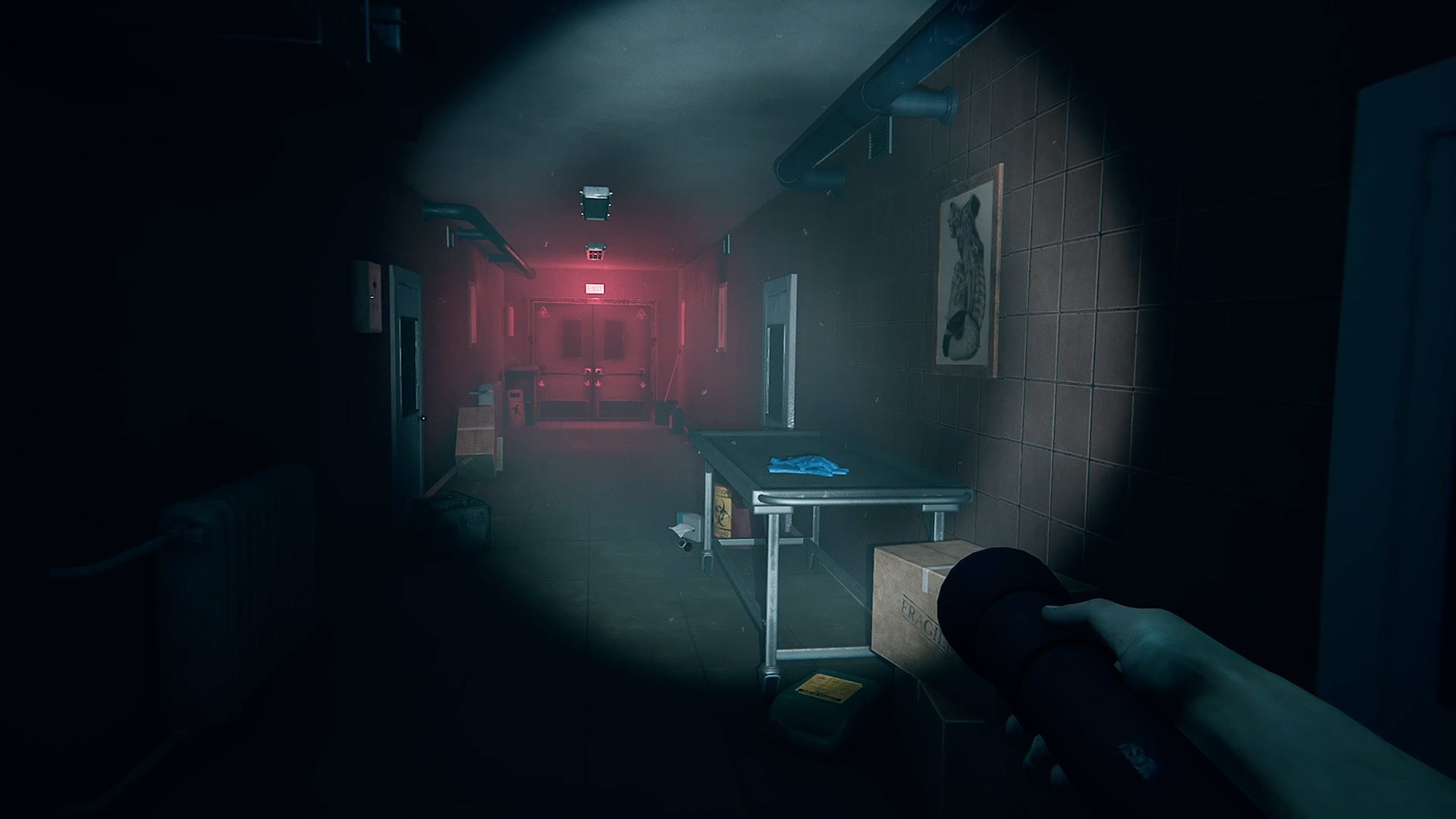 Скриншот из игры Autopsy Simulator - 26