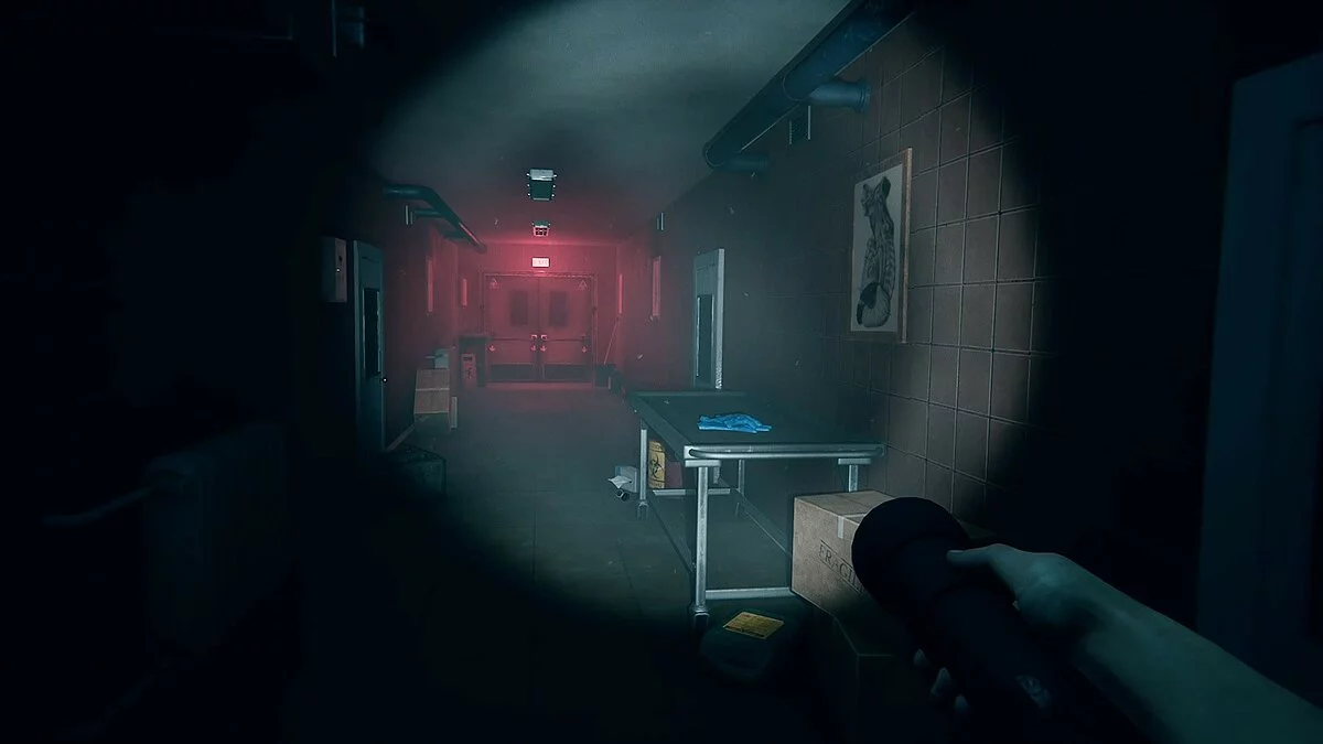 Скриншот из игры Autopsy Simulator - 14