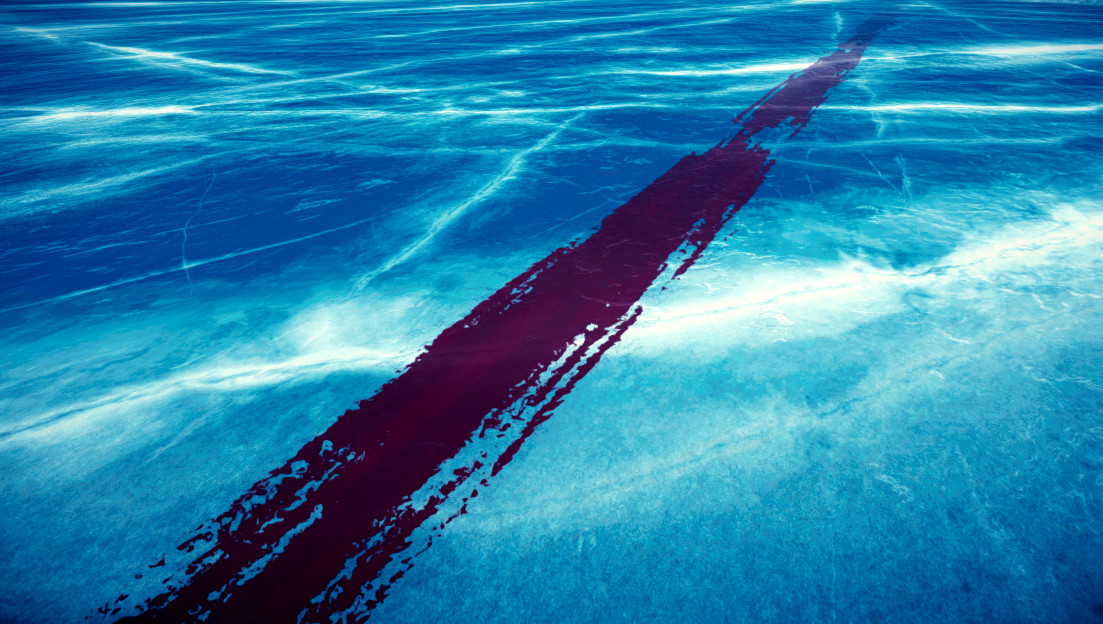 Скриншот из игры ALASKA - 12