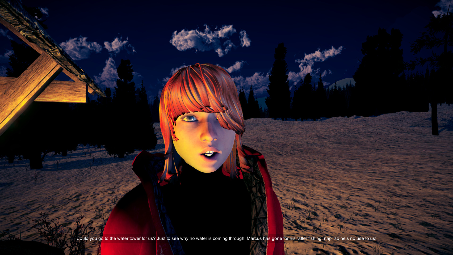 Скриншот из игры ALASKA - 5