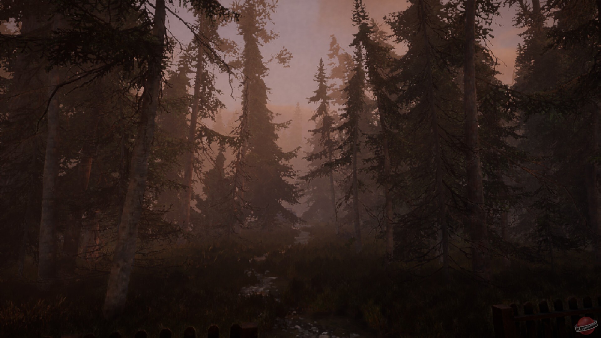 Скриншот из игры The Dire - 4