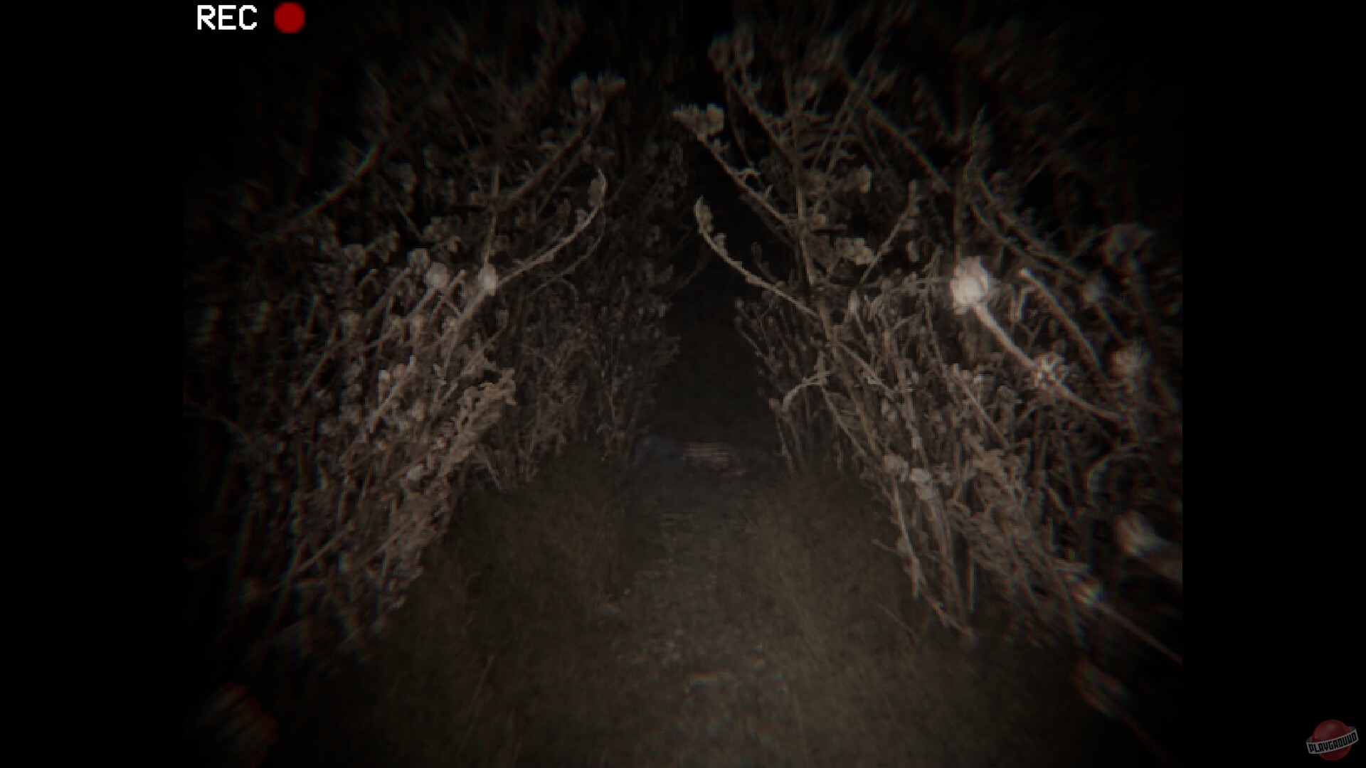 Скриншот из игры The Dire - 1