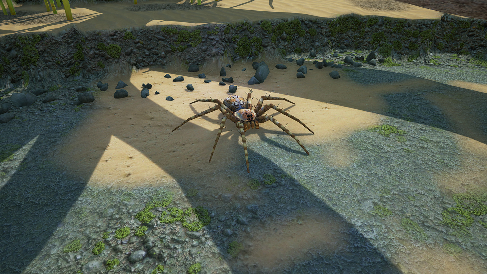 Скриншот из игры Empires of the Undergrowth - 25