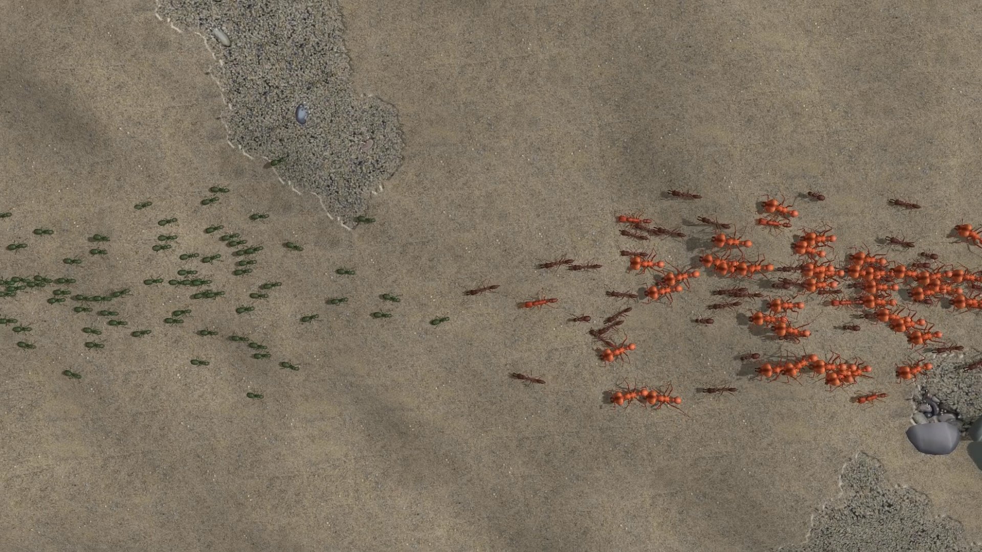 Скриншот из игры Empires of the Undergrowth - 5