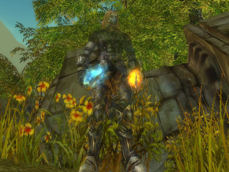 Скриншот из игры Runes of Magic - 190