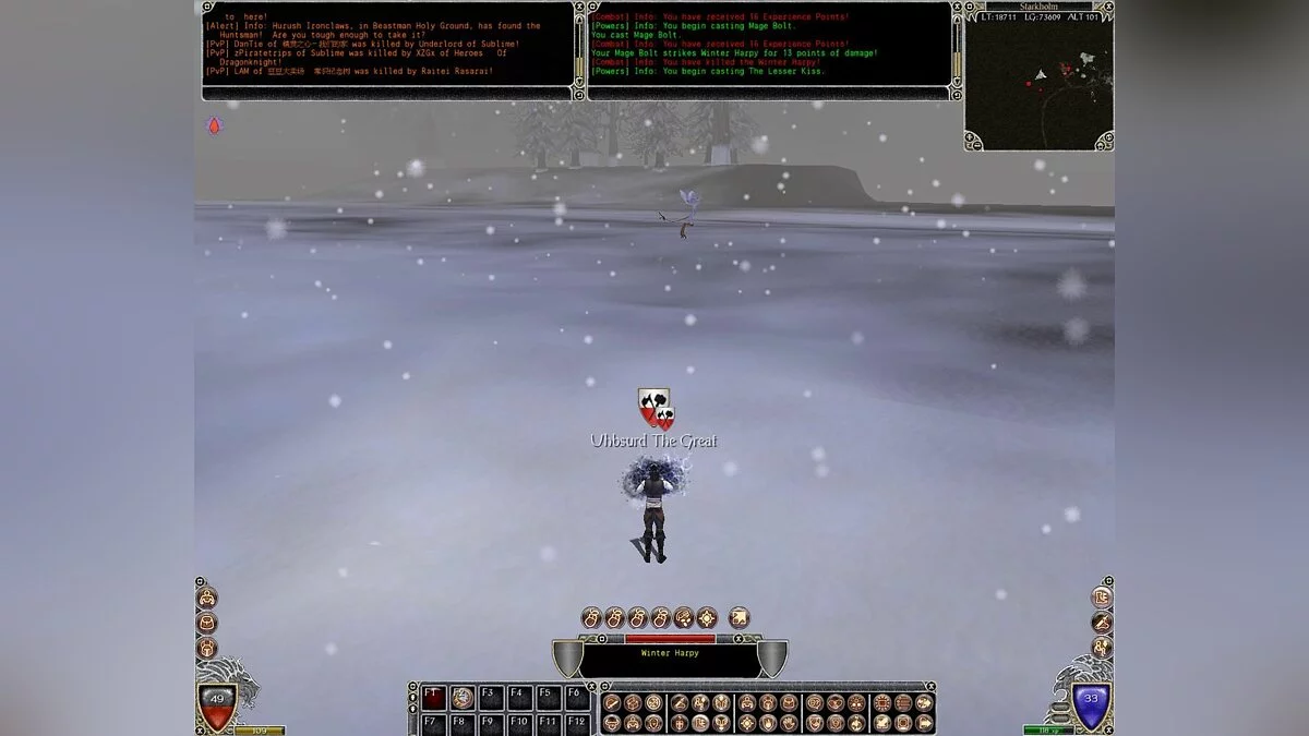 Скриншот из игры Shadowbane - 22