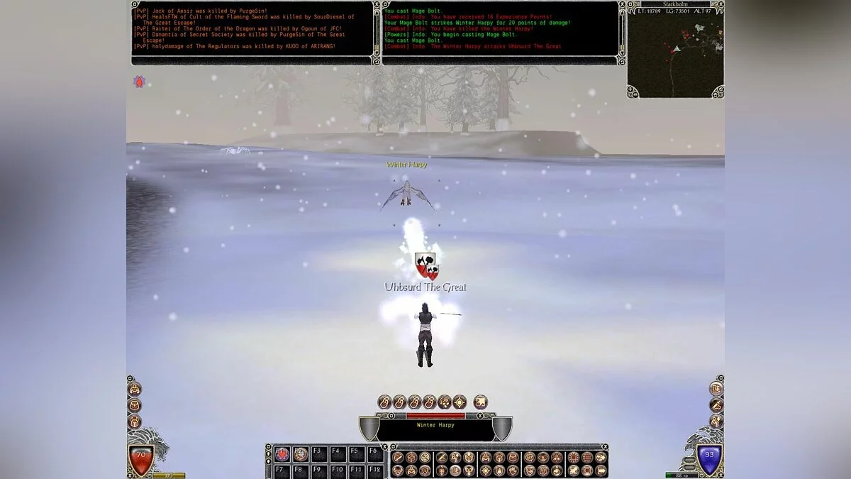 Скриншот из игры Shadowbane - 6