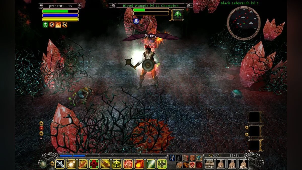 Скриншот из игры Din's Curse - 13