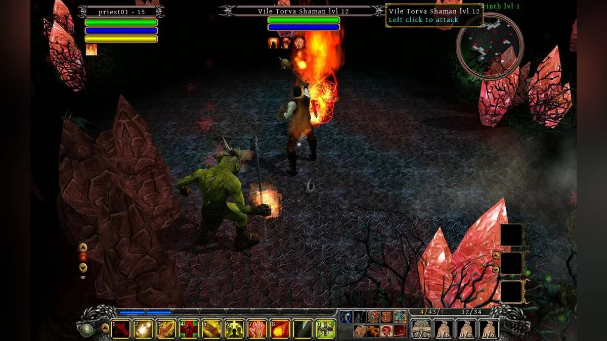 Скриншот из игры Din's Curse - 8