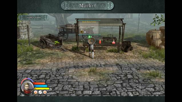 Скриншот из игры Ender of Fire - 9