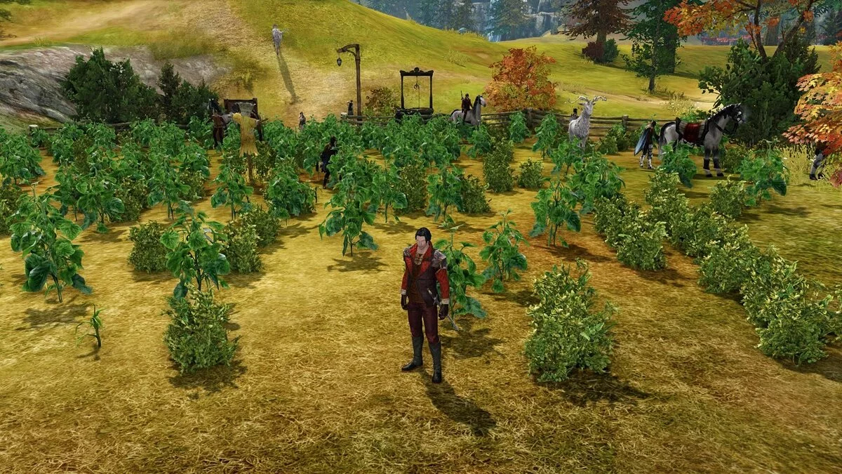 Скриншот из игры ArcheAge - 38