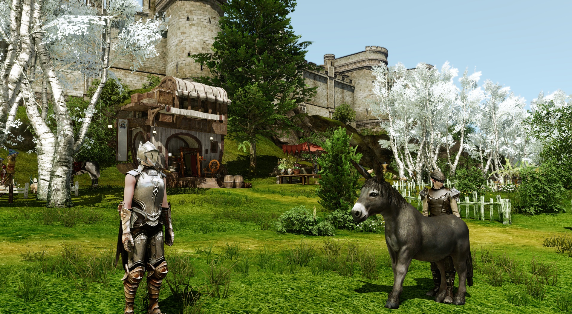 Скриншот из игры ArcheAge - 65