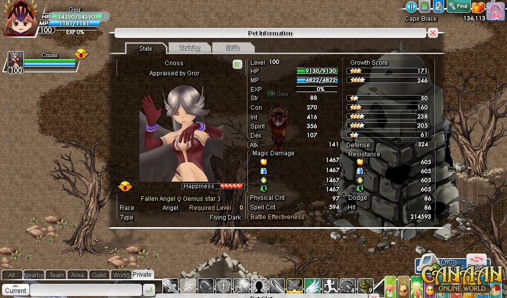 Скриншот из игры Canaan Online - 53