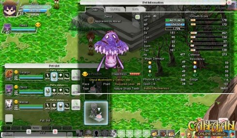 Скриншот из игры Canaan Online - 3