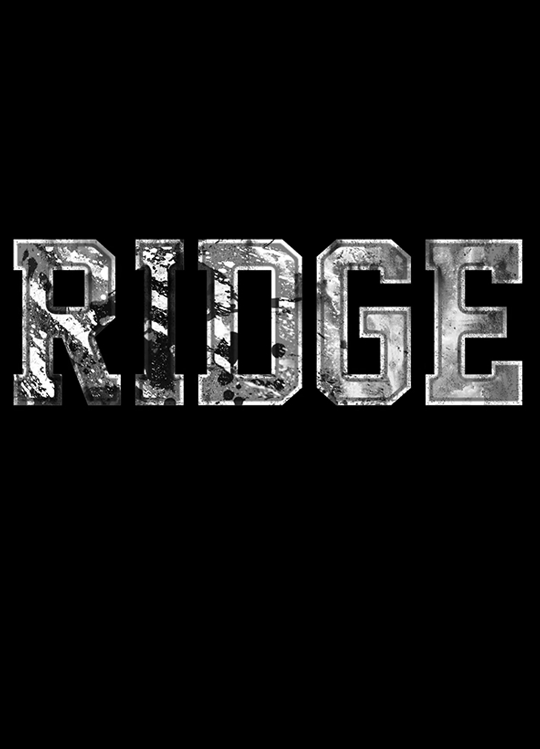 Обложка игры Ridge